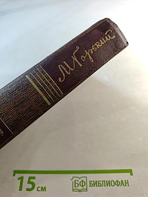 Жизнь Клима Самгина. Том двадцать пятый