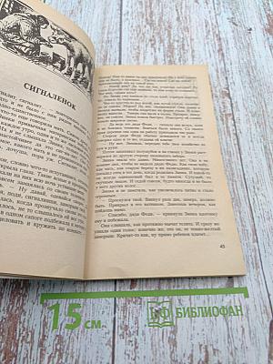 Посели в своем сердце любовь