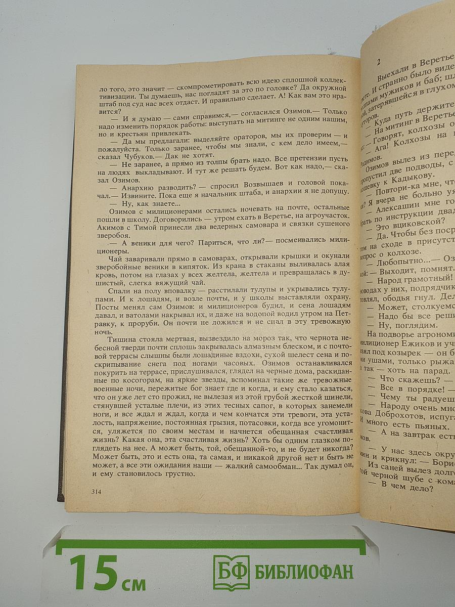 Мужики и бабы. Роман-хроника. Книга вторая