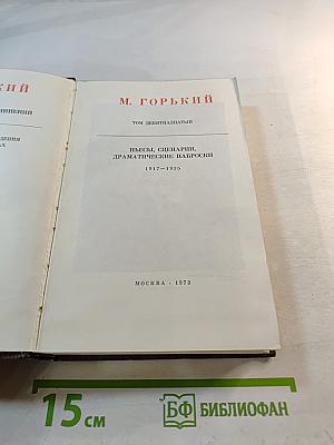 Пьесы, Сценарии, Драматические наброски 1917-1935 (Собрание сочинений, Том девятнадцатый)