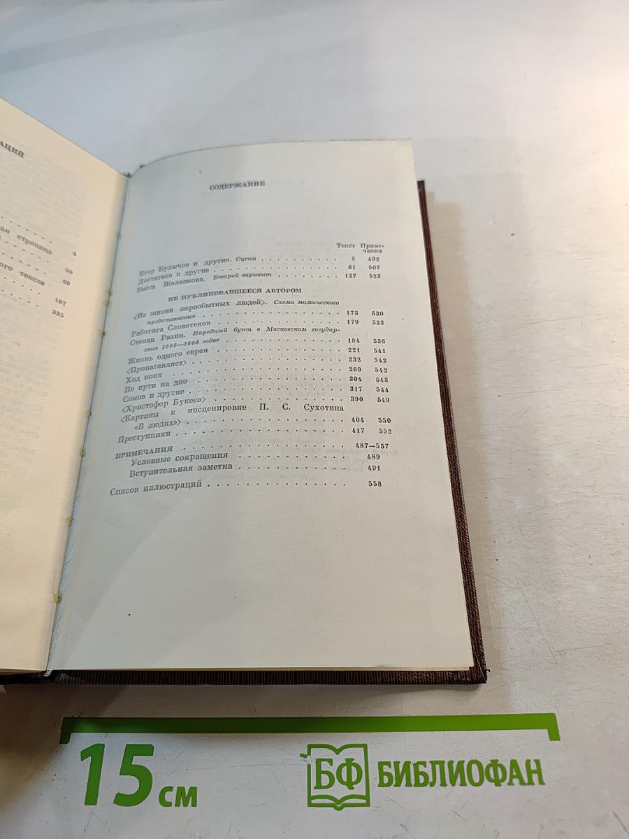 Пьесы, Сценарии, Драматические наброски 1917-1935 (Собрание сочинений, Том девятнадцатый)