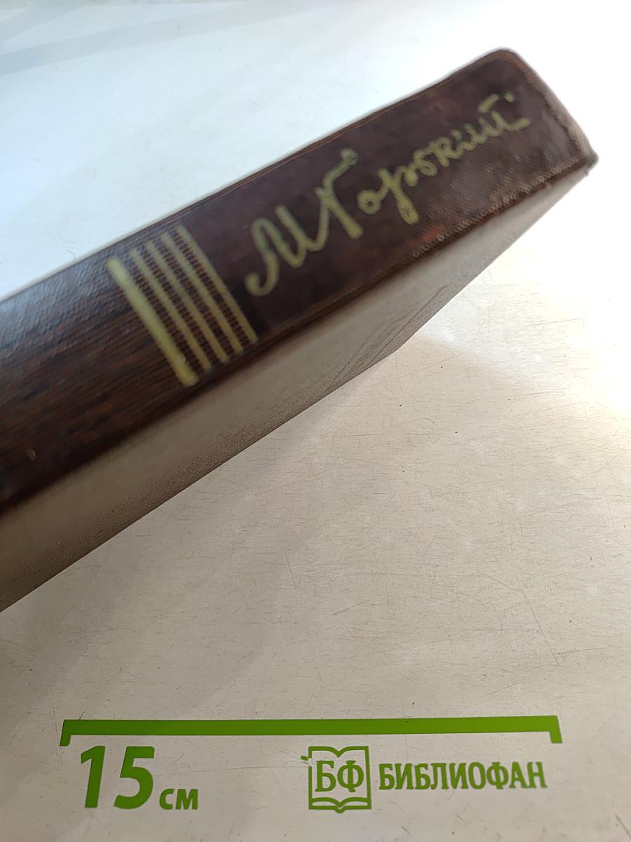 Собрание сочинений. Том 25. Рассказы, очерки, воспоминания 1924-1935