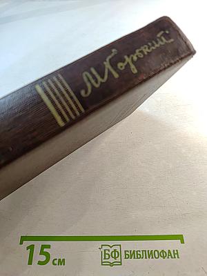 Собрание сочинений. Том 25. Рассказы, очерки, воспоминания 1924-1935