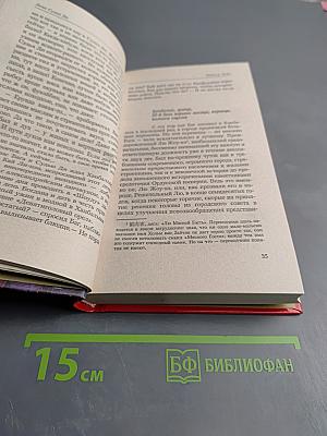 Дело Судьи Ди