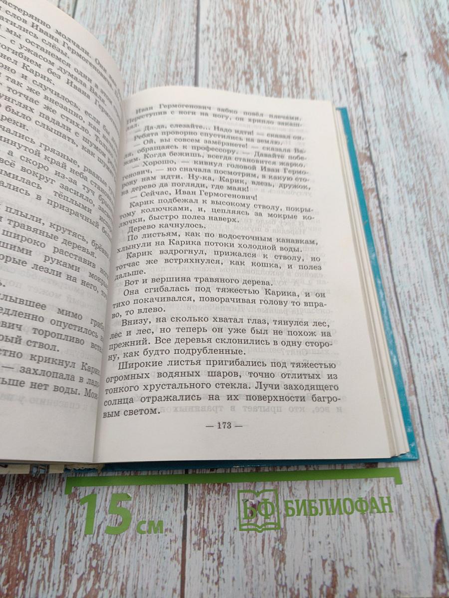 Необыкновенные приключения Карика и Вали