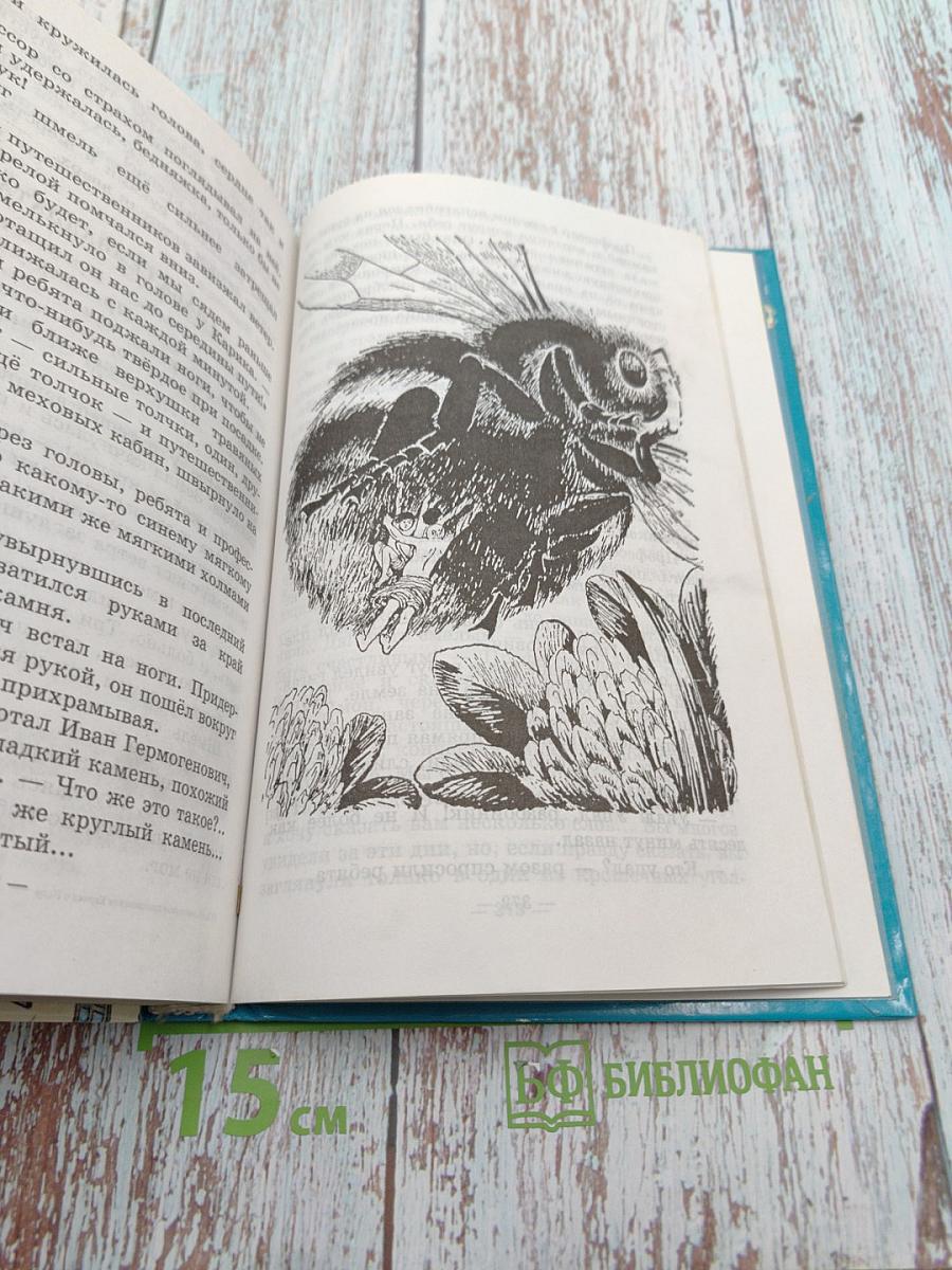 Необыкновенные приключения Карика и Вали