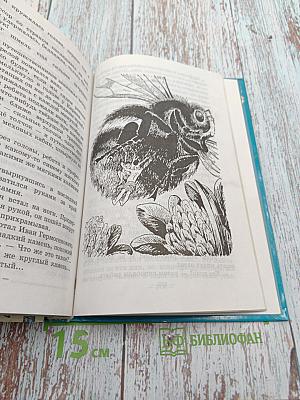 Необыкновенные приключения Карика и Вали