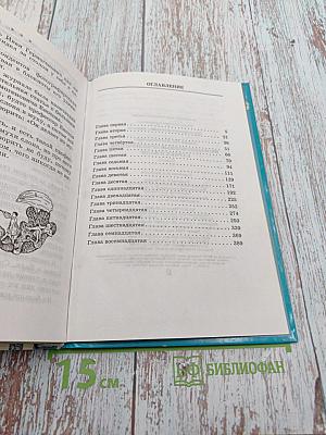 Необыкновенные приключения Карика и Вали