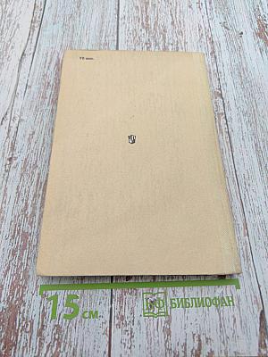 Разговор с молодым директором школы