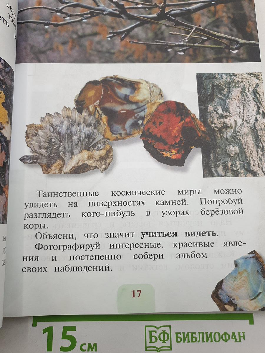 Изобразительное искусство. Ты изображаешь, украшаешь и строишь