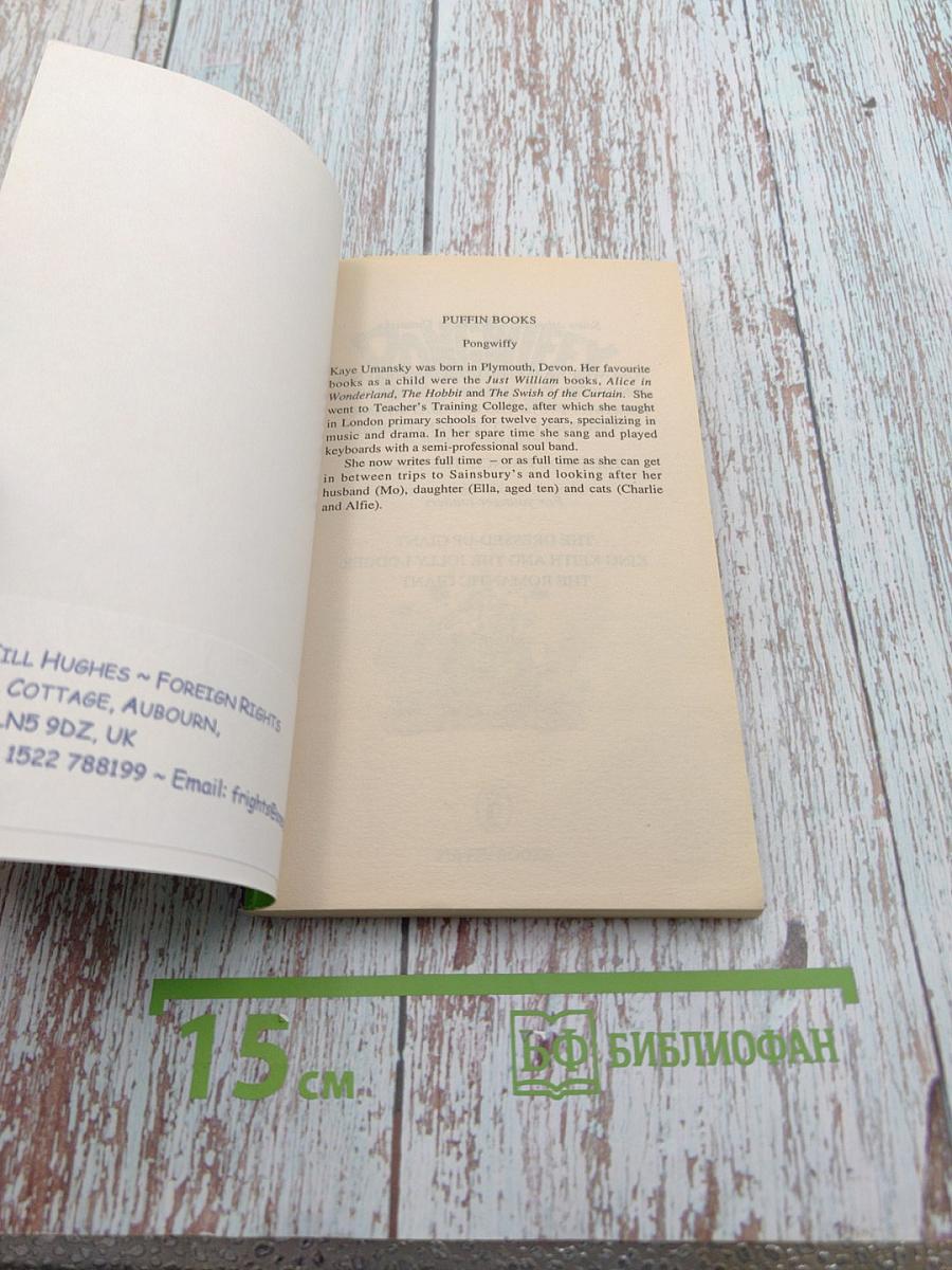 Pongwiffy: A Witch of Dirty Habits