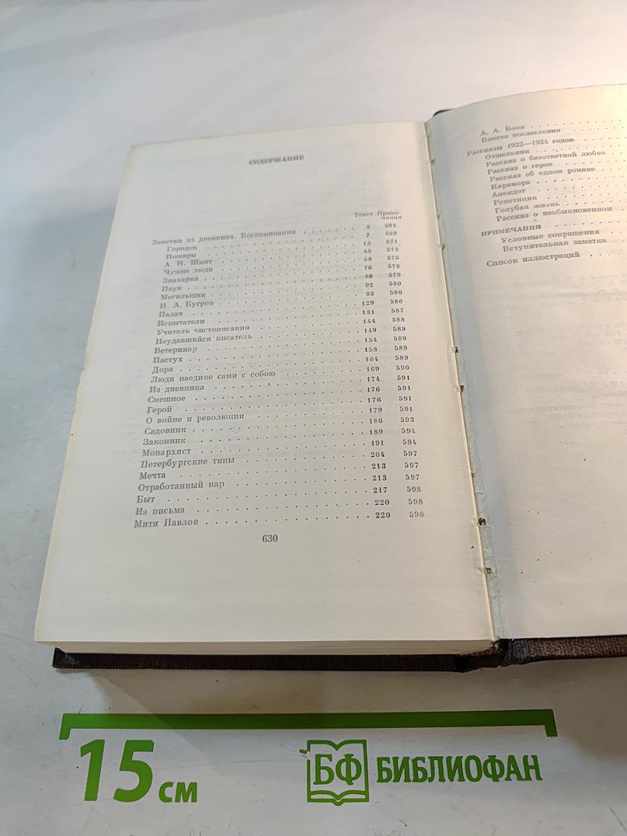 Полное собрание сочинений. Том семнадцатый: Заметки из дневника. Воспоминания. Рассказы 1922-1924 годов