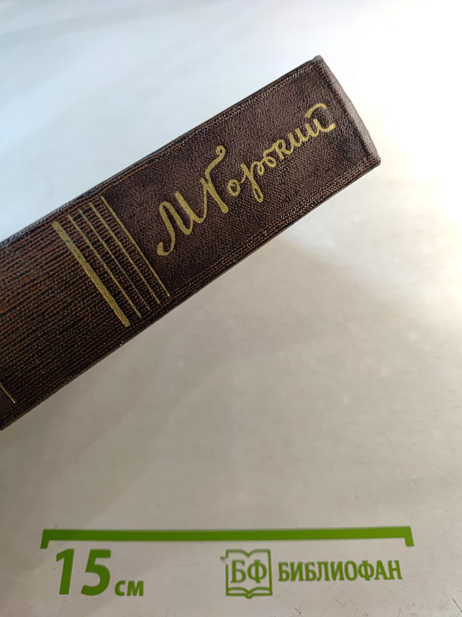 Полное собрание сочинений. Том семнадцатый: Заметки из дневника. Воспоминания. Рассказы 1922-1924 годов