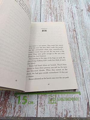 BRUNO TRASK and the Dark Lady's Jewels