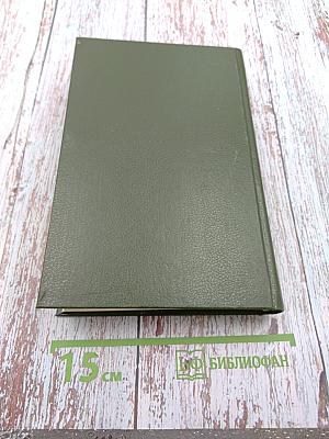 Похититель любви