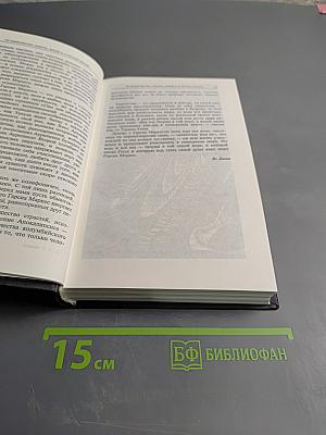 Палая листва