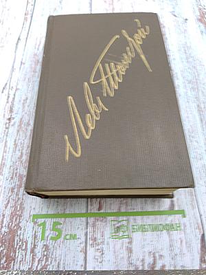 Публицистические произведения 1886-1908, Том семнадцатый