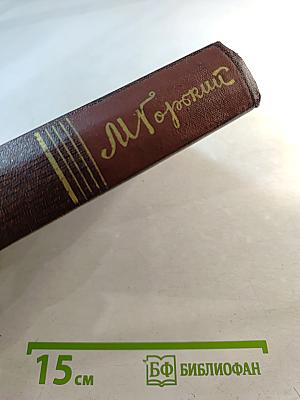 Жизнь Клима Самгина. Том двадцать второй