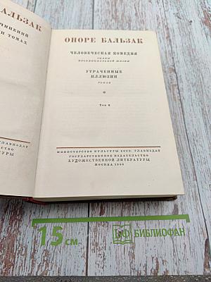 Утраченные иллюзии. Том 6