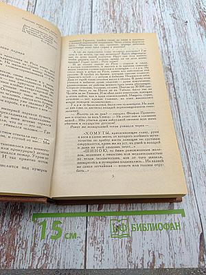 Слово и дело. Роман-хроника времен Анны Иоанновны. Книга 2: Мои любезные конфиденты