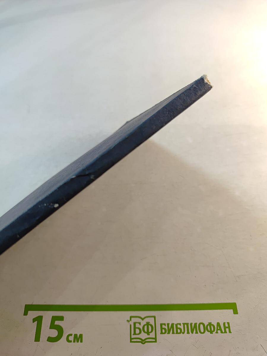 Песенное слово. Поэтическое мастерство Сергея Есенина