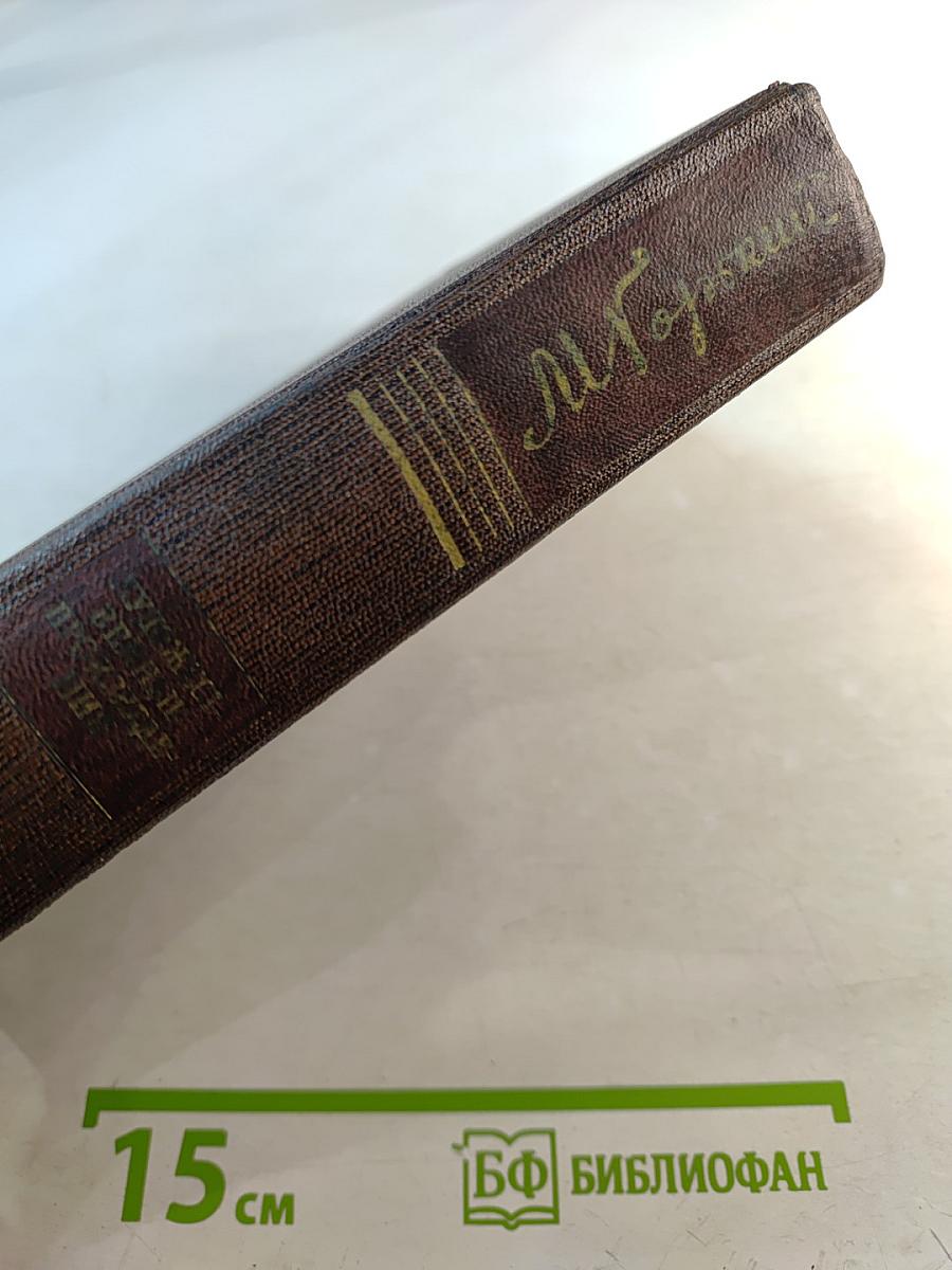 Собрание сочинений. Том шестнадцатый: Повесть, Рассказы, Очерки, Стихи (1917-1924)