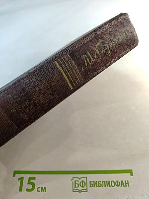 Собрание сочинений. Том шестнадцатый: Повесть, Рассказы, Очерки, Стихи (1917-1924)