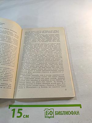 Песенное слово. Поэтическое мастерство Сергея Есенина. Книга для учителя