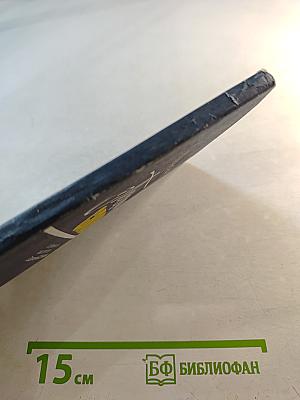 Песенное слово. Поэтическое мастерство Сергея Есенина. Книга для учителя