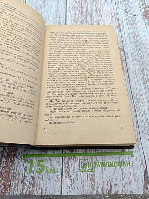 Взбаламученный город