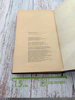 Взбаламученный город