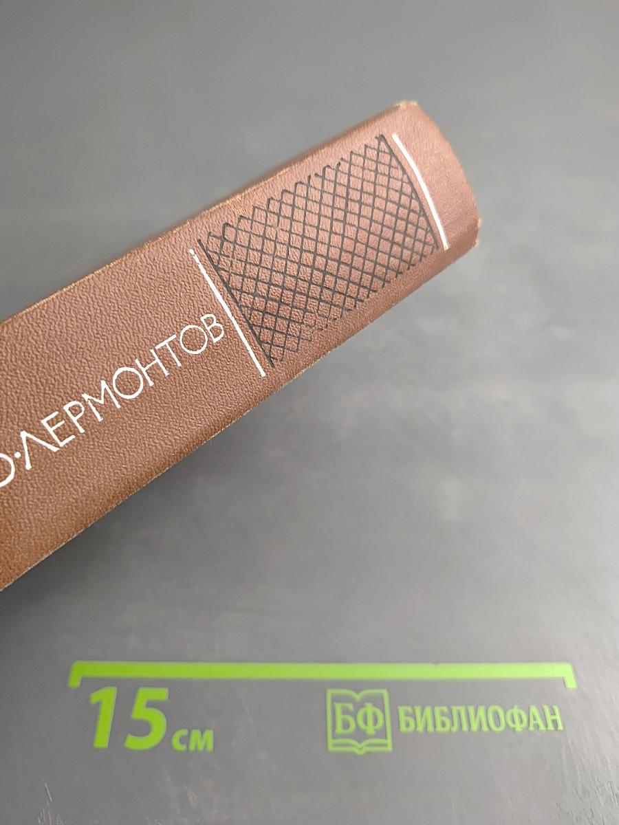 Собрание сочинений. Том второй: Поэмы и повести в стихах