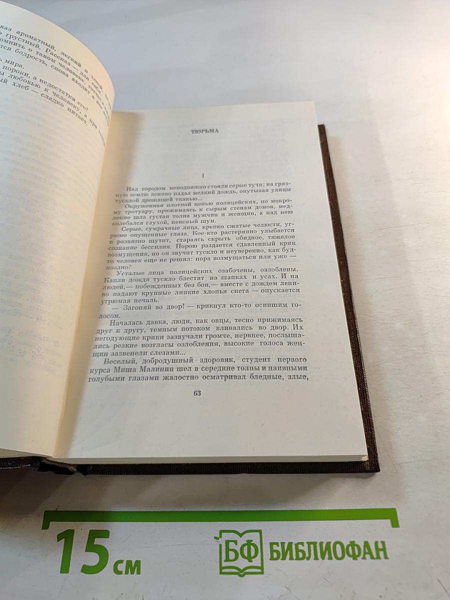 Собрание сочинений. Том шестой: Рассказы, очерки, наброски, стихотворения 1901-1907