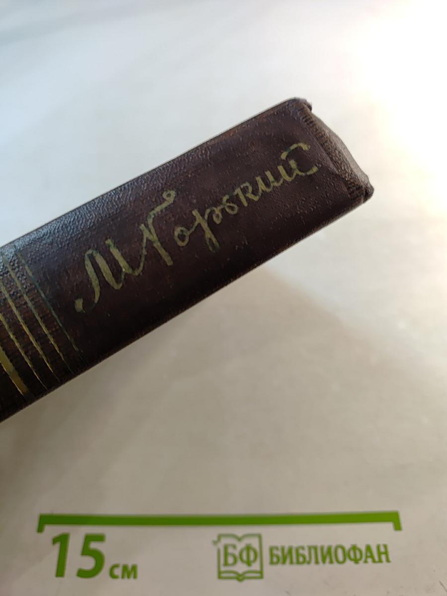 Собрание сочинений. Том шестой: Рассказы, очерки, наброски, стихотворения 1901-1907
