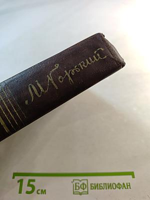 Собрание сочинений. Том шестой: Рассказы, очерки, наброски, стихотворения 1901-1907