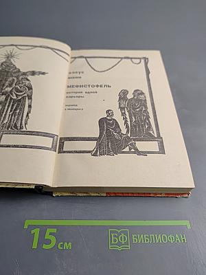 Мефистофель. История одной карьеры