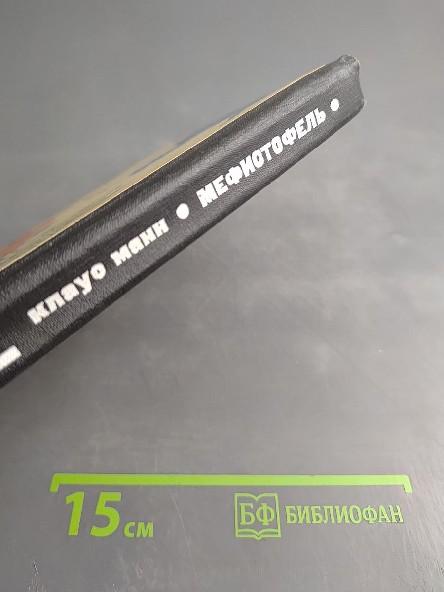 Мефистофель. История одной карьеры