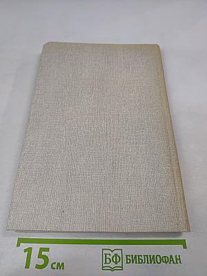 Петербург Петра I в иностранных описаниях