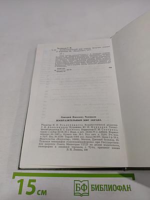 Изобразительный мир экрана