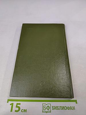 Изобразительный мир экрана