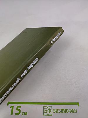 Изобразительный мир экрана