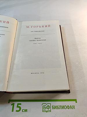 Пьесы. Сцены. Наброски. 1907-1917. Том тринадцатый