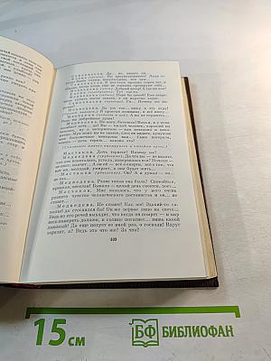 Пьесы. Сцены. Наброски. 1907-1917. Том тринадцатый