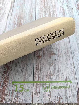 Путешествие в страну Поэзия. Книга 2