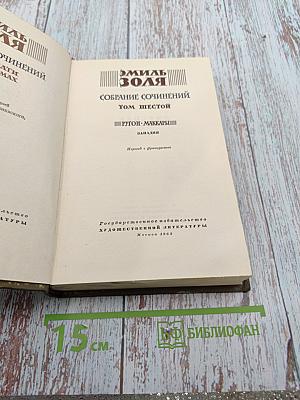 Собрание сочинений. Том Шестой. Ругон-Маккары. Западня