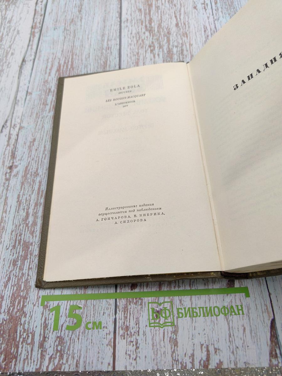 Собрание сочинений. Том Шестой. Ругон-Маккары. Западня