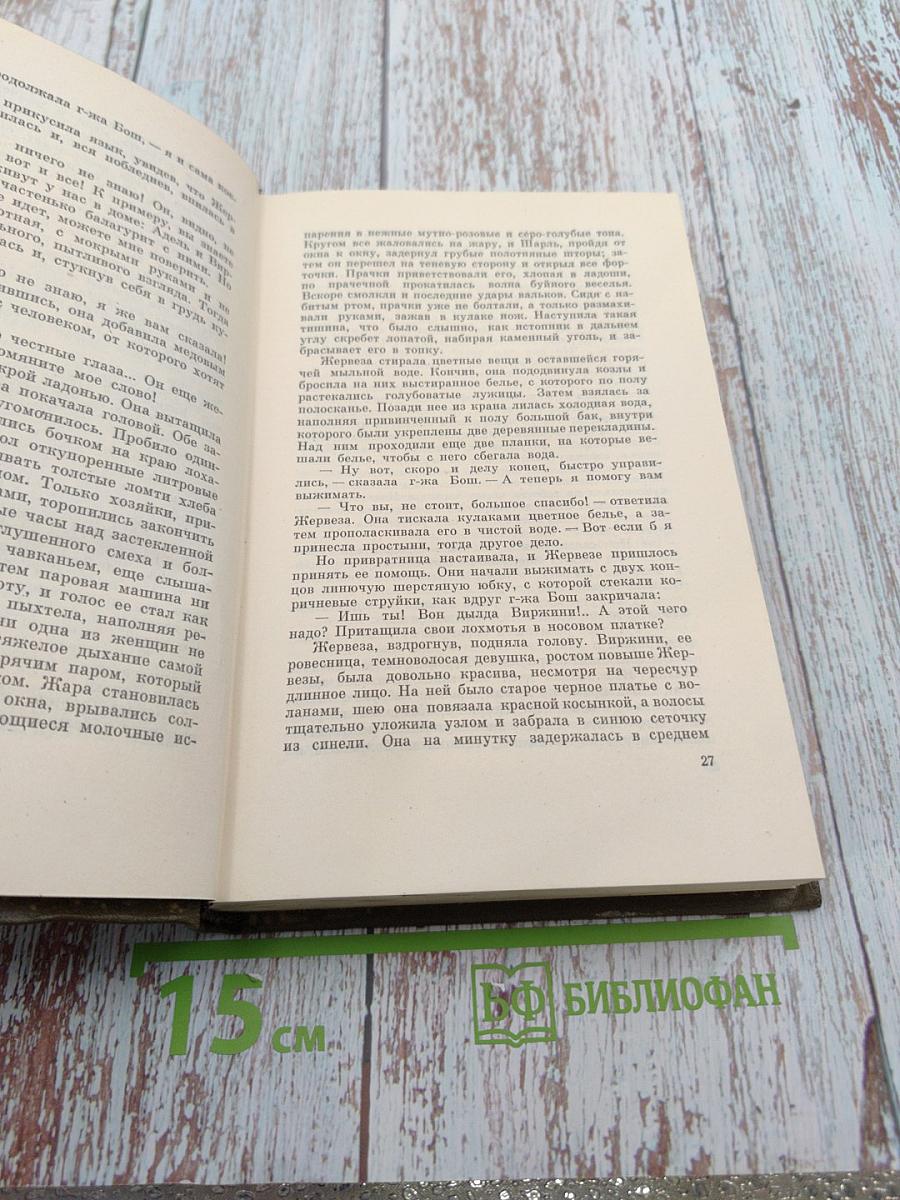 Собрание сочинений. Том Шестой. Ругон-Маккары. Западня