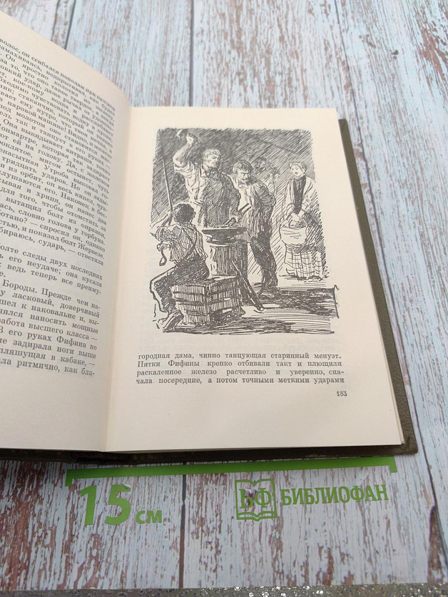 Собрание сочинений. Том Шестой. Ругон-Маккары. Западня