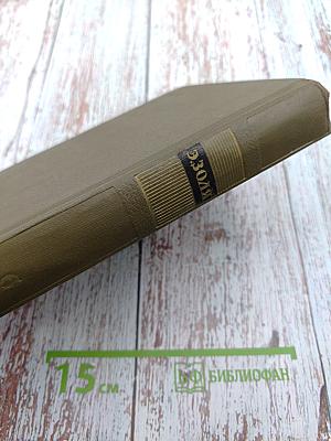 Собрание сочинений. Том Шестой. Ругон-Маккары. Западня