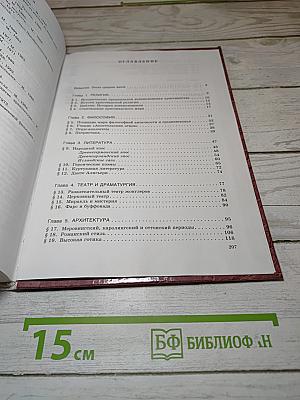 Мировая художественная культура. Средние века. Часть II, книга 1